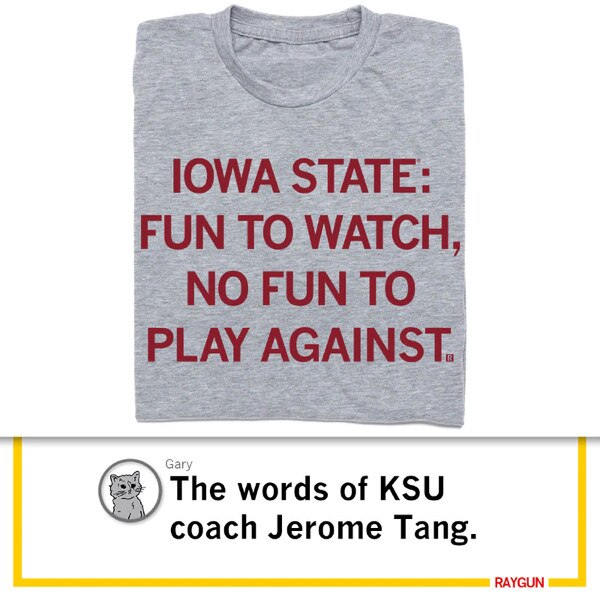Raygun Iowa State Fun to Watch Gray T-shirt